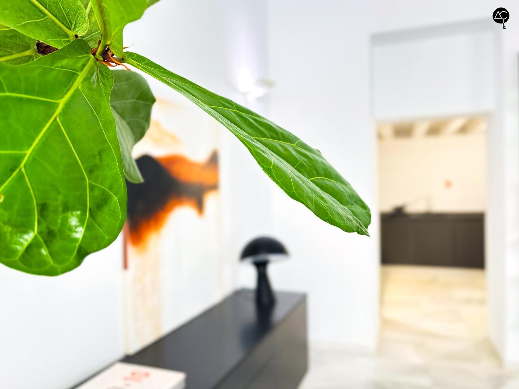 Casa Columela Grupo Ac Gestion Apartment *